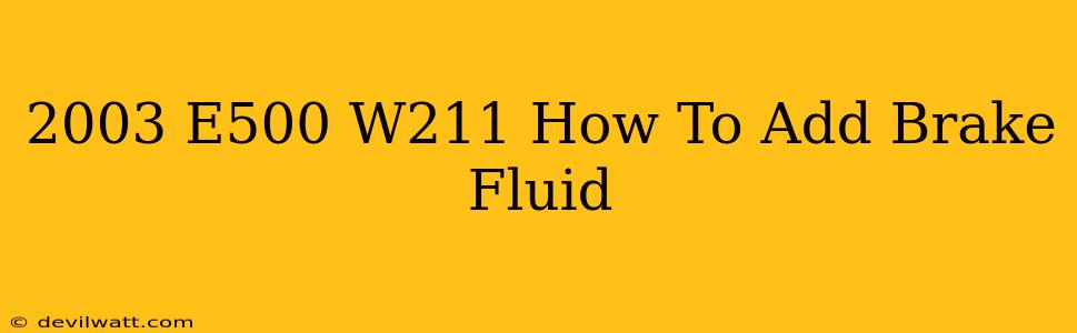 2003 E500 W211 How To Add Brake Fluid