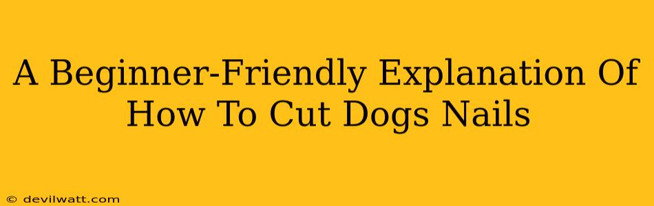 A Beginner-Friendly Explanation Of How To Cut Dogs Nails
