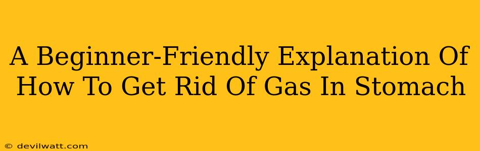 A Beginner-Friendly Explanation Of How To Get Rid Of Gas In Stomach