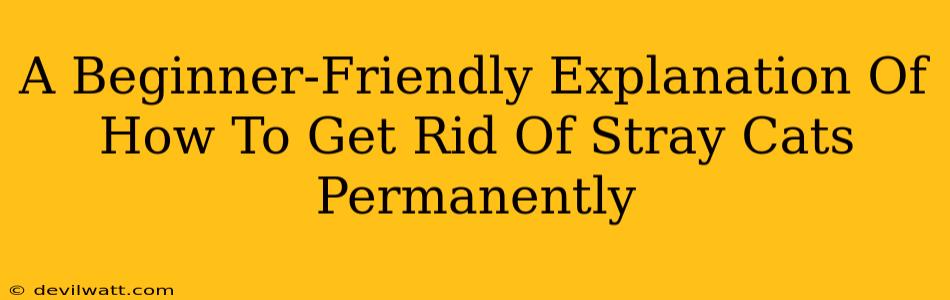 A Beginner-Friendly Explanation Of How To Get Rid Of Stray Cats Permanently