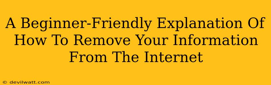 A Beginner-Friendly Explanation Of How To Remove Your Information From The Internet