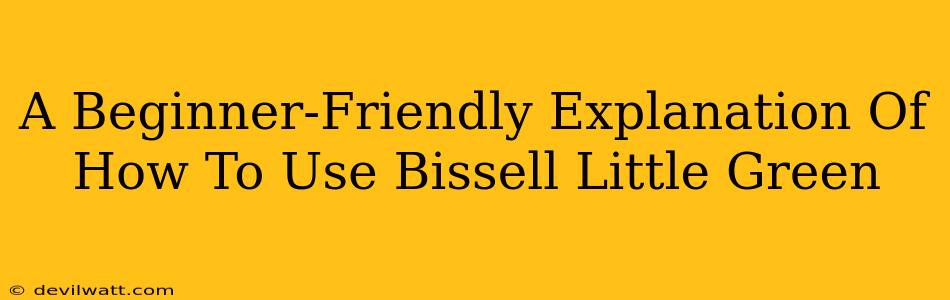 A Beginner-Friendly Explanation Of How To Use Bissell Little Green
