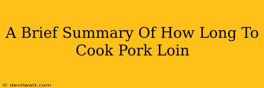 A Brief Summary Of How Long To Cook Pork Loin