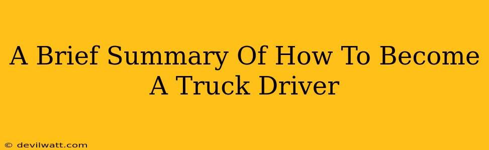 A Brief Summary Of How To Become A Truck Driver