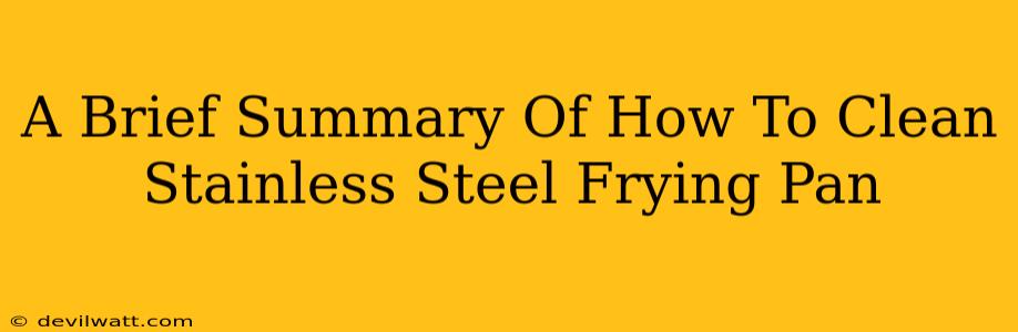 A Brief Summary Of How To Clean Stainless Steel Frying Pan