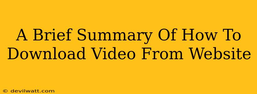 A Brief Summary Of How To Download Video From Website