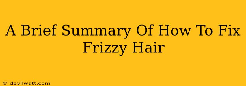 A Brief Summary Of How To Fix Frizzy Hair