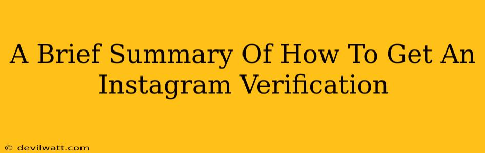 A Brief Summary Of How To Get An Instagram Verification
