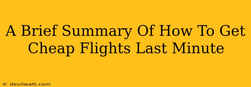 A Brief Summary Of How To Get Cheap Flights Last Minute
