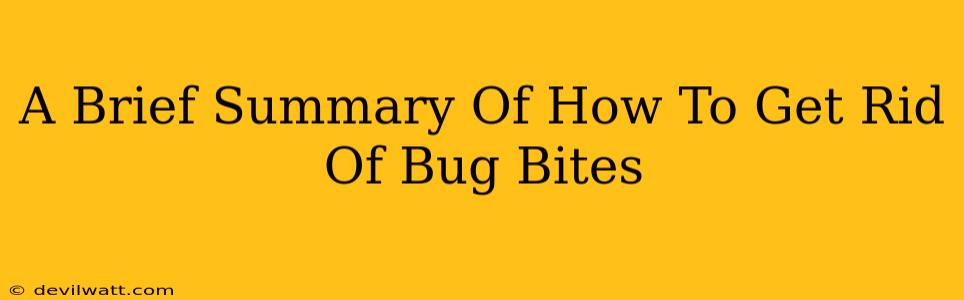 A Brief Summary Of How To Get Rid Of Bug Bites