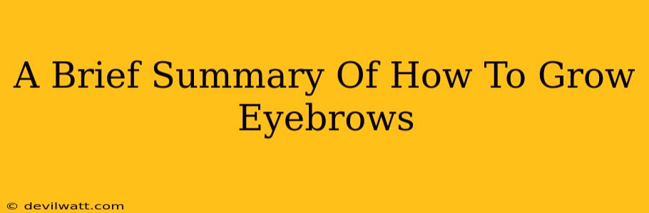 A Brief Summary Of How To Grow Eyebrows