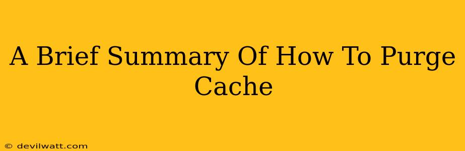 A Brief Summary Of How To Purge Cache