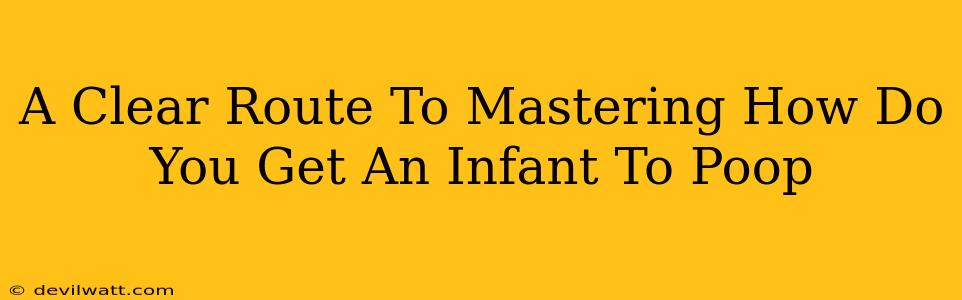 A Clear Route To Mastering How Do You Get An Infant To Poop