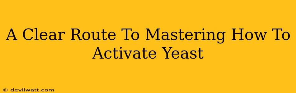 A Clear Route To Mastering How To Activate Yeast