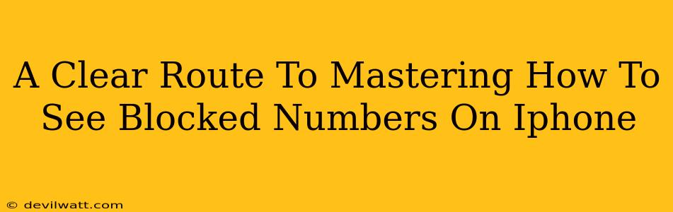 A Clear Route To Mastering How To See Blocked Numbers On Iphone