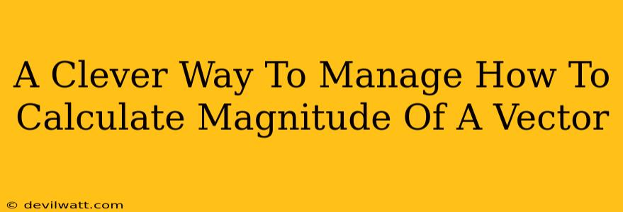 A Clever Way To Manage How To Calculate Magnitude Of A Vector