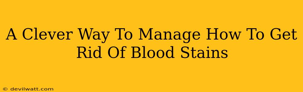 A Clever Way To Manage How To Get Rid Of Blood Stains