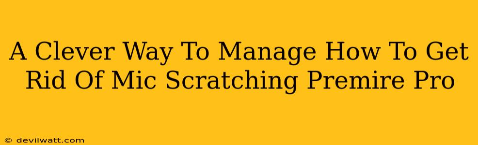 A Clever Way To Manage How To Get Rid Of Mic Scratching Premire Pro