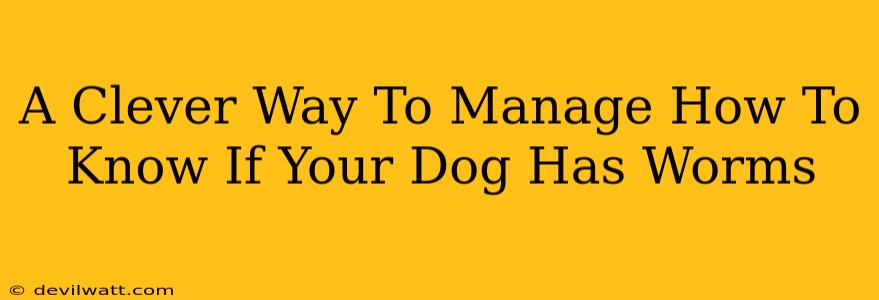 A Clever Way To Manage How To Know If Your Dog Has Worms