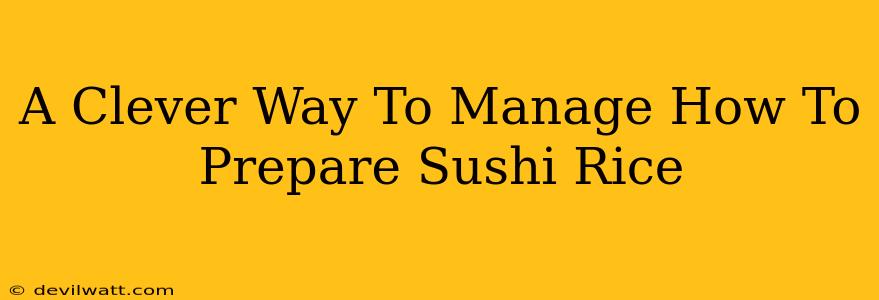 A Clever Way To Manage How To Prepare Sushi Rice