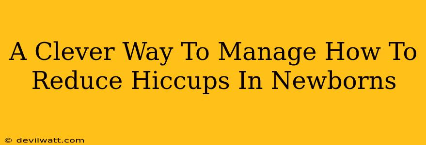 A Clever Way To Manage How To Reduce Hiccups In Newborns