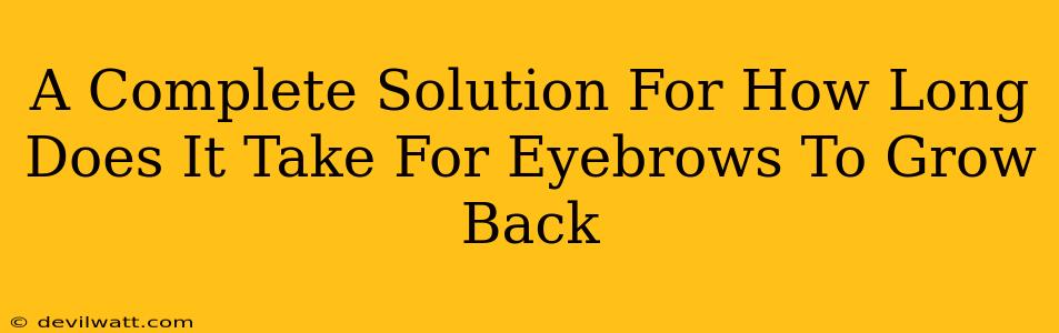 A Complete Solution For How Long Does It Take For Eyebrows To Grow Back