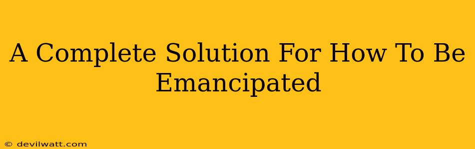 A Complete Solution For How To Be Emancipated
