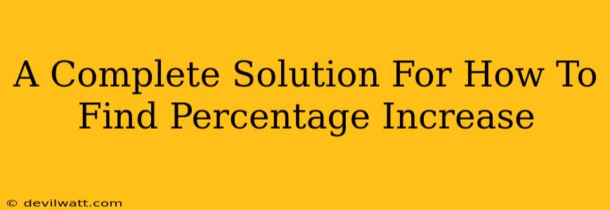 A Complete Solution For How To Find Percentage Increase