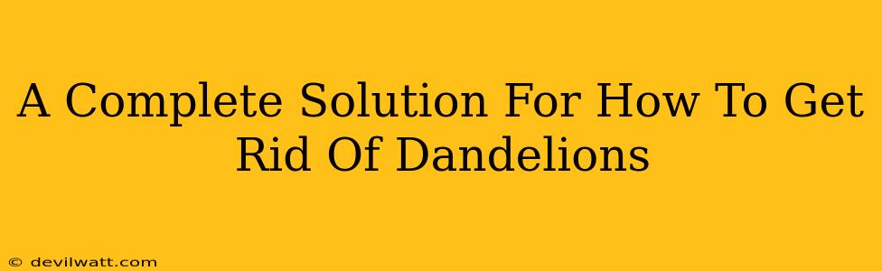 A Complete Solution For How To Get Rid Of Dandelions