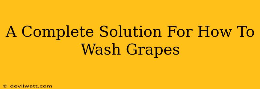 A Complete Solution For How To Wash Grapes