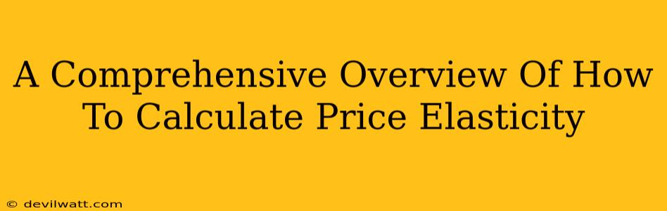 A Comprehensive Overview Of How To Calculate Price Elasticity