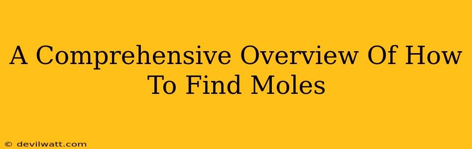 A Comprehensive Overview Of How To Find Moles