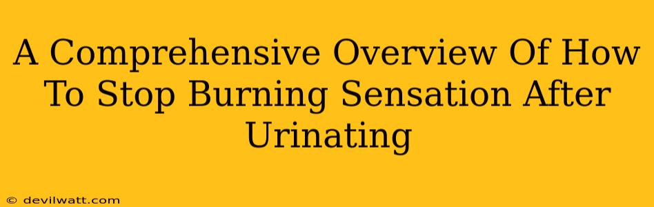 A Comprehensive Overview Of How To Stop Burning Sensation After Urinating