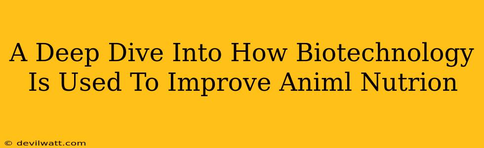 A Deep Dive Into How Biotechnology Is Used To Improve Animl Nutrion