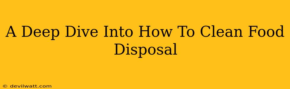 A Deep Dive Into How To Clean Food Disposal