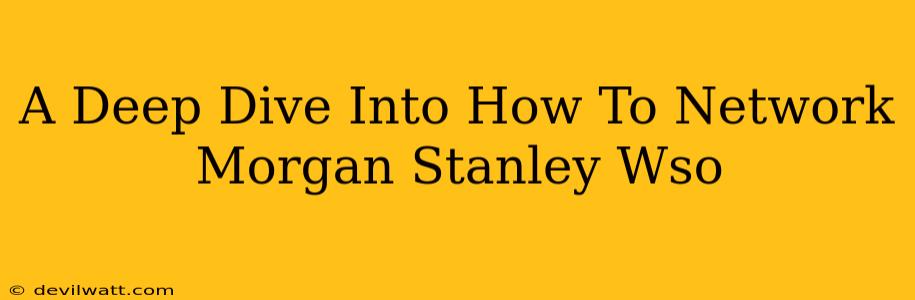 A Deep Dive Into How To Network Morgan Stanley Wso