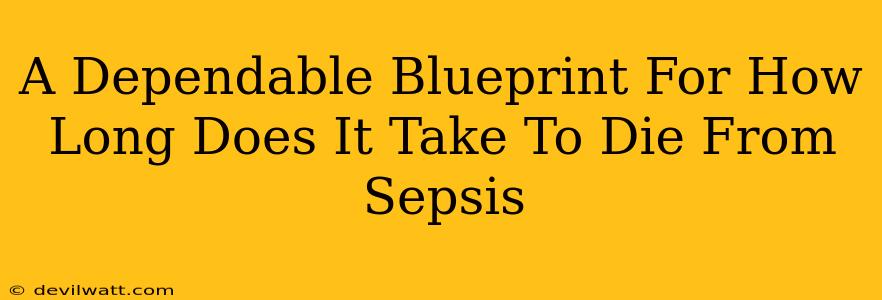 A Dependable Blueprint For How Long Does It Take To Die From Sepsis