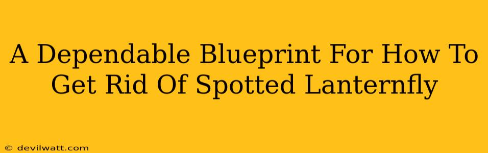 A Dependable Blueprint For How To Get Rid Of Spotted Lanternfly