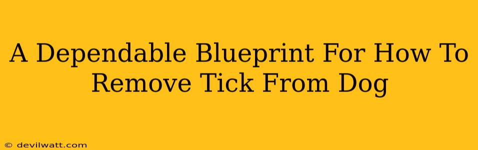 A Dependable Blueprint For How To Remove Tick From Dog