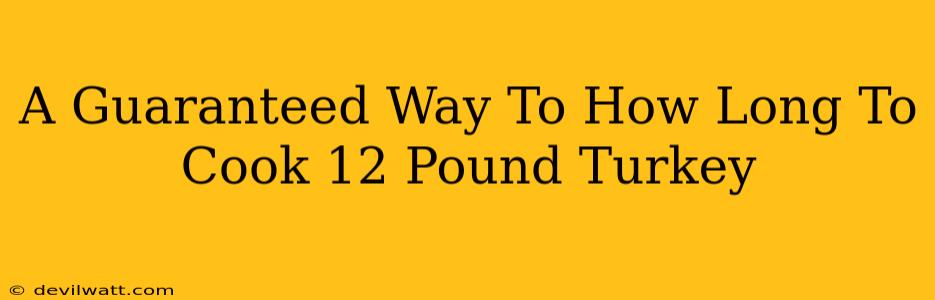 A Guaranteed Way To How Long To Cook 12 Pound Turkey