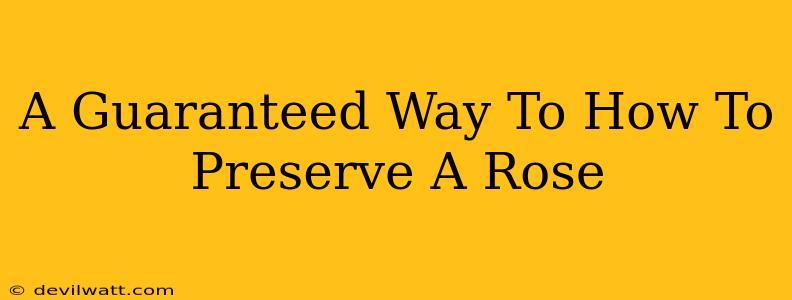 A Guaranteed Way To How To Preserve A Rose