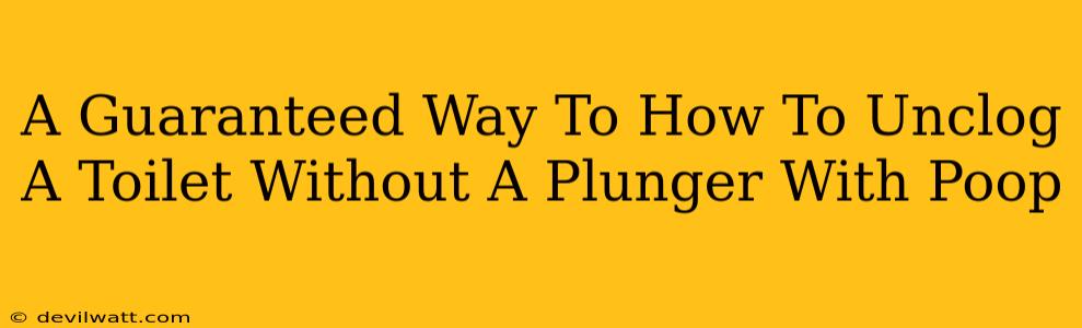 A Guaranteed Way To How To Unclog A Toilet Without A Plunger With Poop