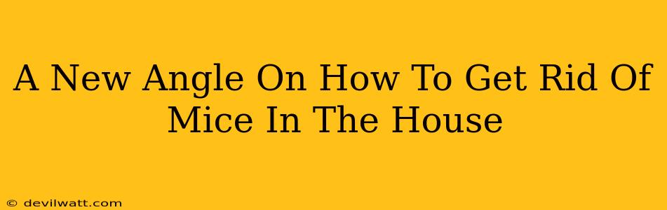 A New Angle On How To Get Rid Of Mice In The House