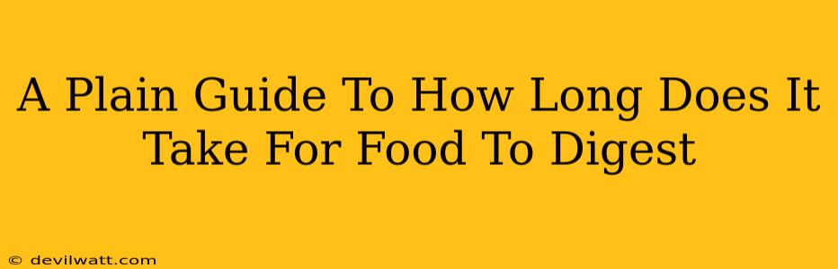 A Plain Guide To How Long Does It Take For Food To Digest