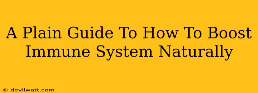A Plain Guide To How To Boost Immune System Naturally