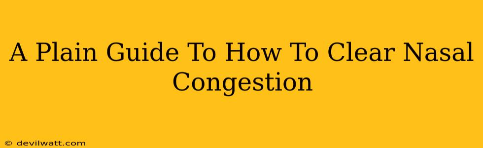 A Plain Guide To How To Clear Nasal Congestion