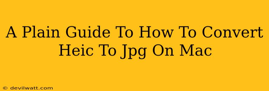 A Plain Guide To How To Convert Heic To Jpg On Mac