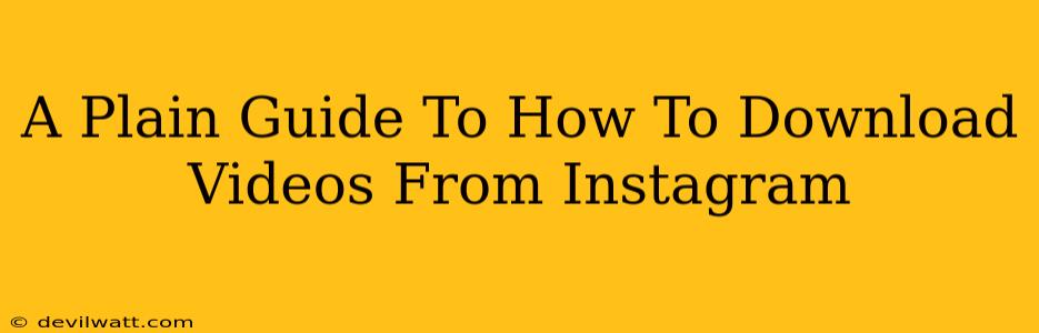 A Plain Guide To How To Download Videos From Instagram