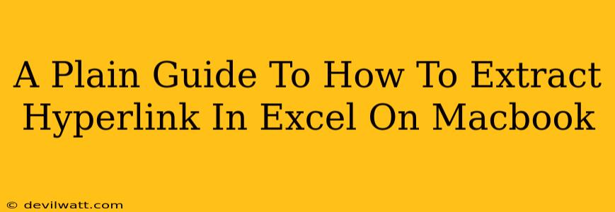 A Plain Guide To How To Extract Hyperlink In Excel On Macbook