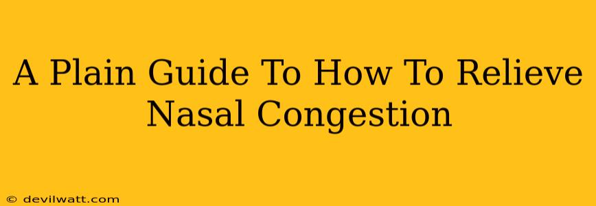 A Plain Guide To How To Relieve Nasal Congestion